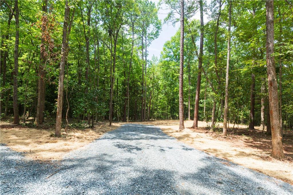 0 Roosevelt Highway Warm Springs GA 31830