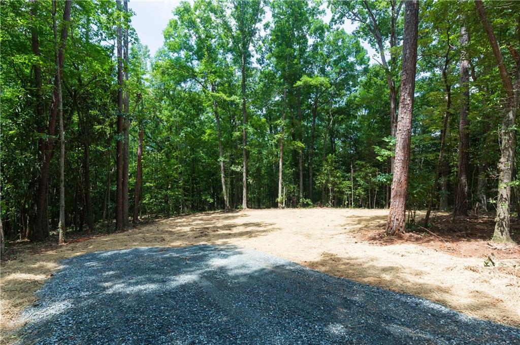 0 Roosevelt Highway Warm Springs GA 31830