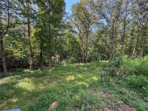 114 Funaro Lane Dahlonega GA 30533