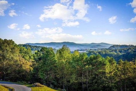 679 Cohutta Sunset Drive Blue Ridge GA 30513