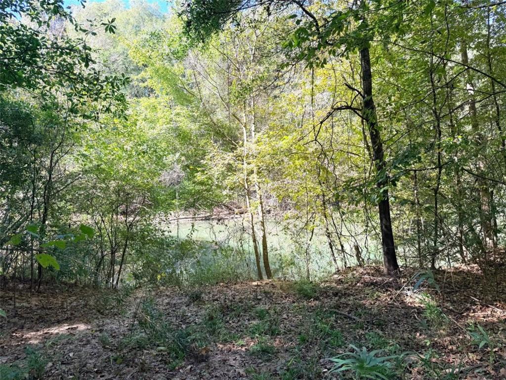 0 Towaliga South Road Jackson GA 30233