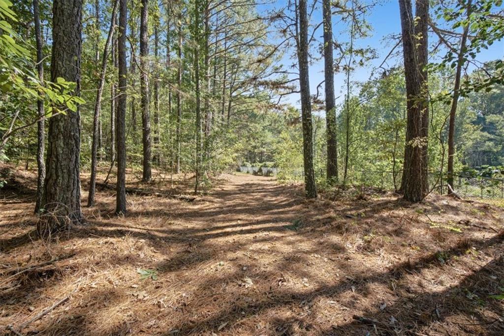 63 Wilderness Camp Road SE White GA 30184