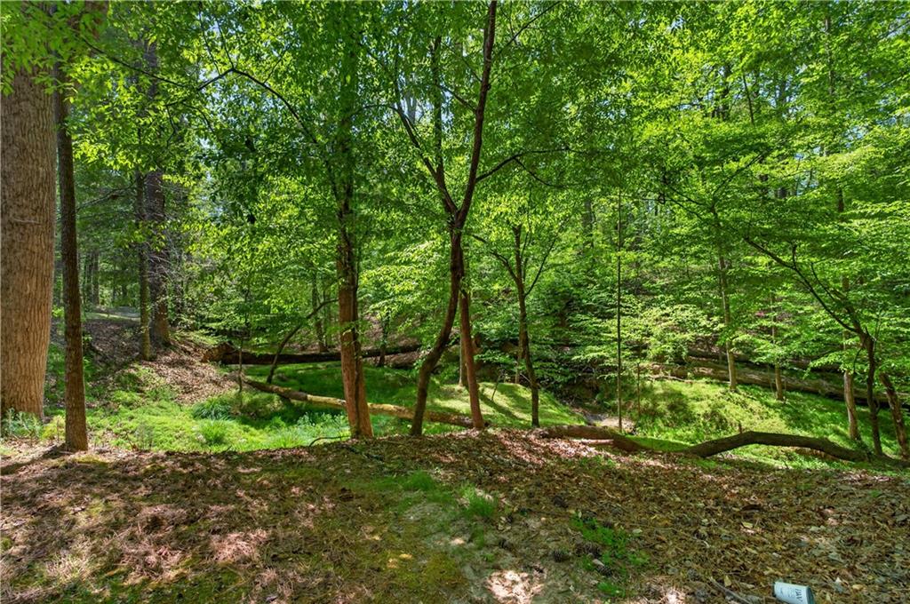 2090 Double Creek Lane Alpharetta GA 30004