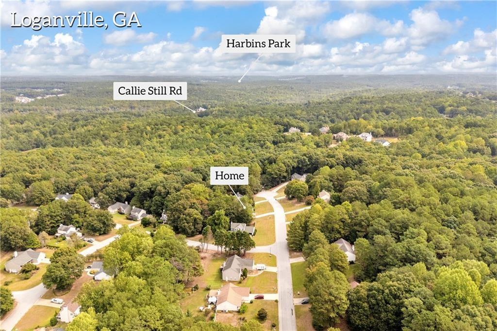 1450 Timber Walk Drive Loganville GA 30052