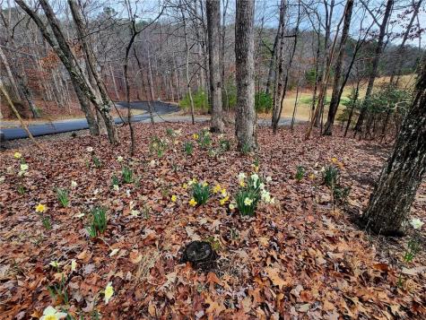 106 Banyon Court Waleska GA 30183