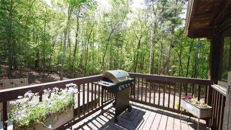 210 Shade Tree Lane Mineral Bluff GA 30559