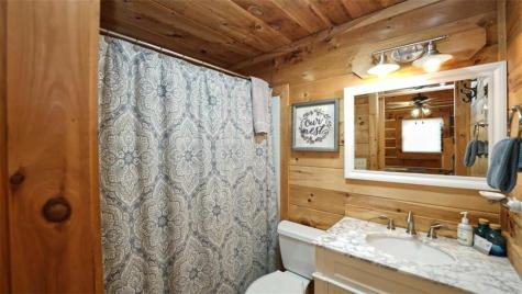 210 Shade Tree Lane Mineral Bluff GA 30559