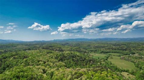 210 Shade Tree Lane Mineral Bluff GA 30559