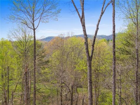 1134 Maggie Chapman Road Blue Ridge GA 30513