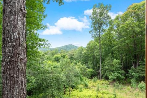 98 Aries Lane Blue Ridge GA 30513