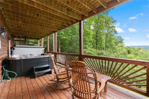 98 Aries Lane Blue Ridge GA 30513