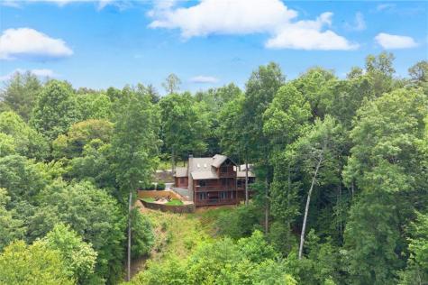98 Aries Lane Blue Ridge GA 30513