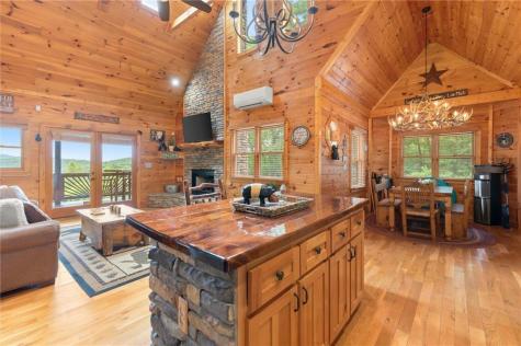 98 Aries Lane Blue Ridge GA 30513