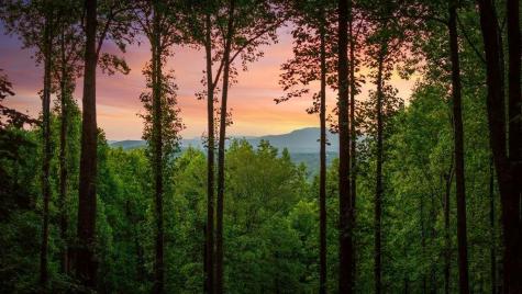 391 Little Bushy Head Road Blue Ridge GA 30513