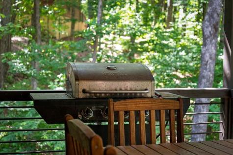 391 Little Bushy Head Road Blue Ridge GA 30513