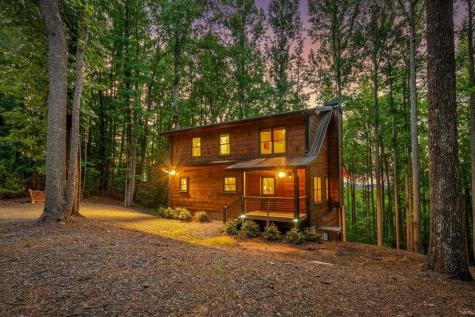 391 Little Bushy Head Road Blue Ridge GA 30513