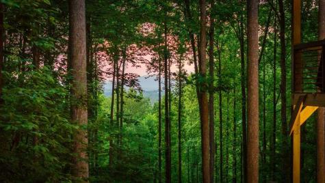 391 Little Bushy Head Road Blue Ridge GA 30513