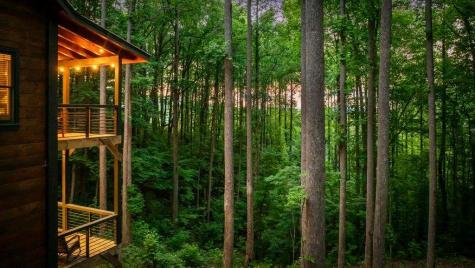 391 Little Bushy Head Road Blue Ridge GA 30513