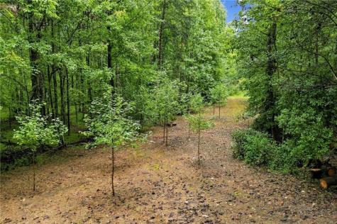 409 Tate Creek Trail Dahlonega GA 30533