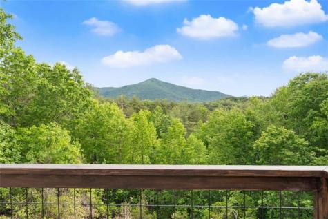 707 S Fern Cove Road S Sautee Nacoochee GA 30571