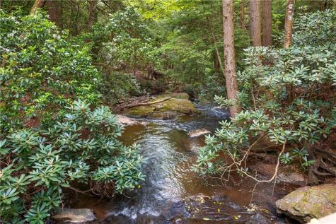 230 Woodside Lane Suches GA 30572