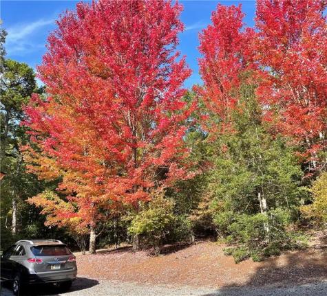1605 Sunrock Mountain Road Blue Ridge GA 30513