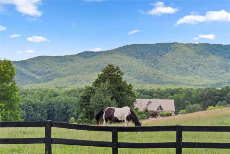 169 Magnificent Way Cleveland GA 30528