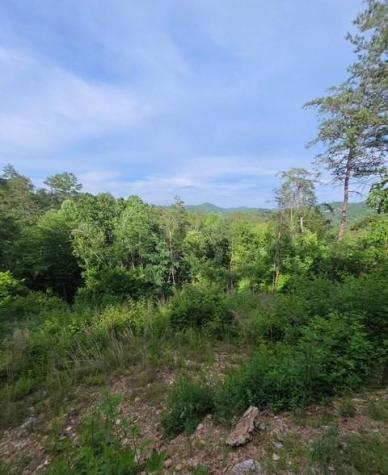 95 Ridgeline Lane Mineral Bluff GA 30559