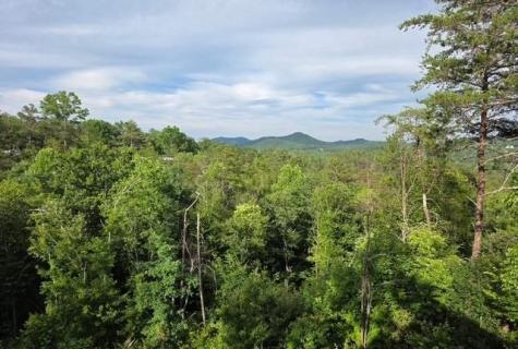 95 Ridgeline Lane Mineral Bluff GA 30559
