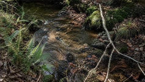 129 Sunset Trail Blairsville GA 30512