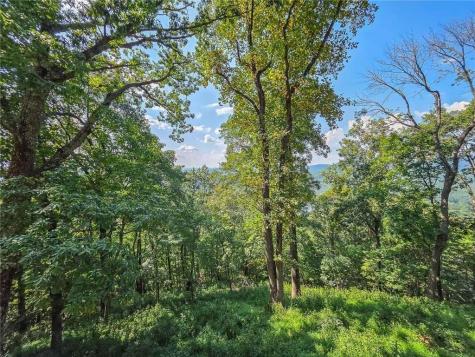 493 Starcross Lane Jasper GA 30143