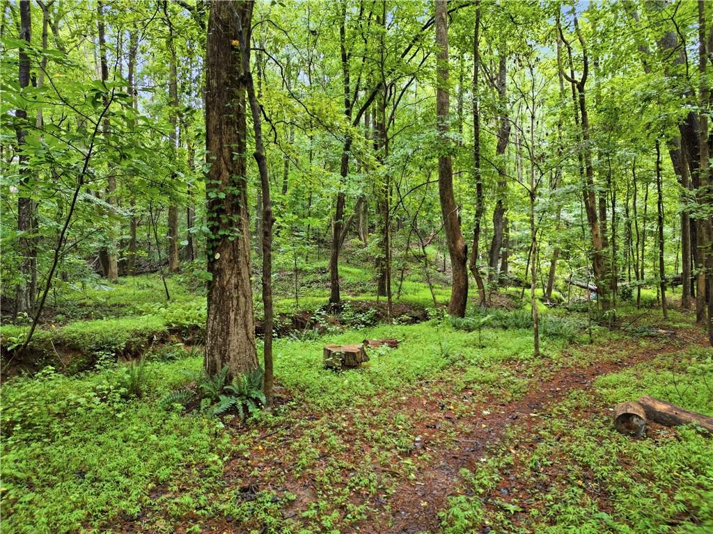 135 Laurel Ridge Drive Alpharetta GA 30004