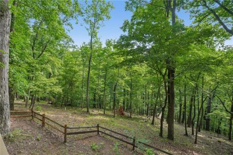 1482 Valley View Drive Big Canoe GA 30143