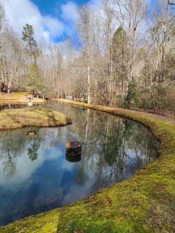 496 Beaver Dam Road Dahlonega GA 30533