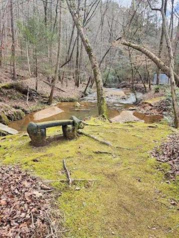 496 Beaver Dam Road Dahlonega GA 30533