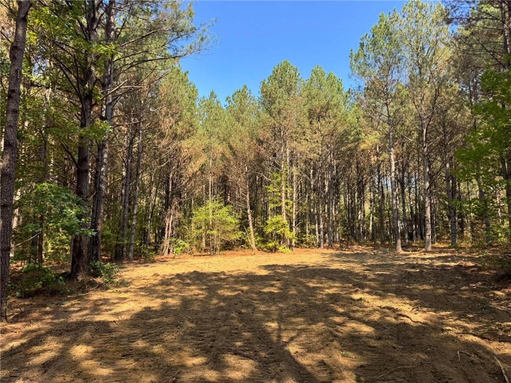 Lot A Broad Street Tallapoosa GA 30176