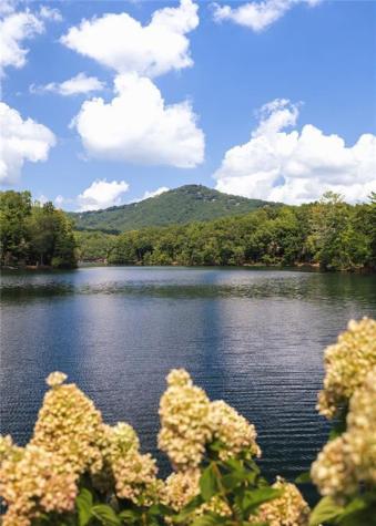 1414 Mcelroy Mountain Drive Big Canoe GA 30143