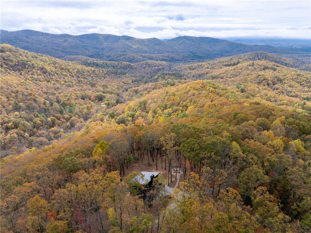 1250 Lost Forest Road Ellijay GA 30536