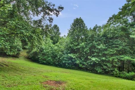 265 Holly Hill Road Suches GA 30572