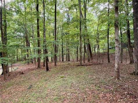 78 Cherokee Camp Trail Jasper GA 30143