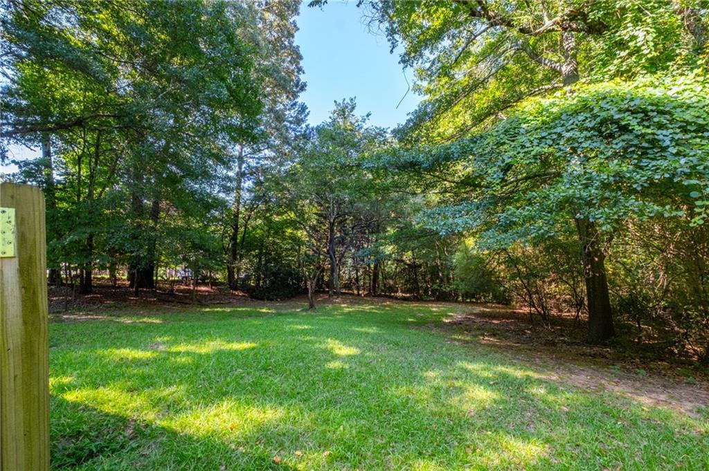 123 W Castle View Drive Braselton GA 30517
