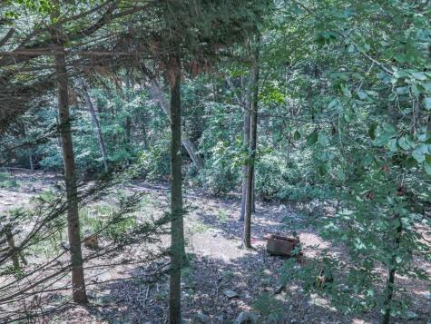 137 Blue Fox Loop Waleska GA 30183