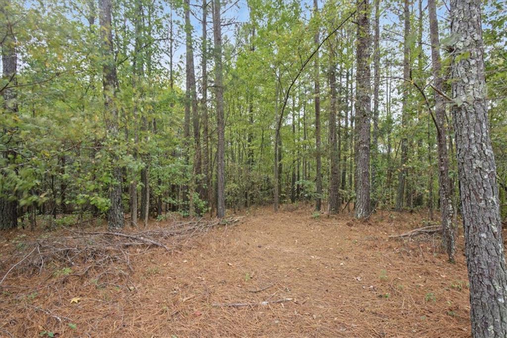 63 Hardin Bridge Road SW Kingston GA 30145
