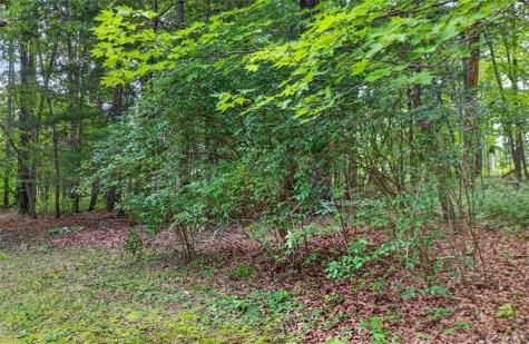 271 Broken Arrow Trail Dahlonega GA 30533