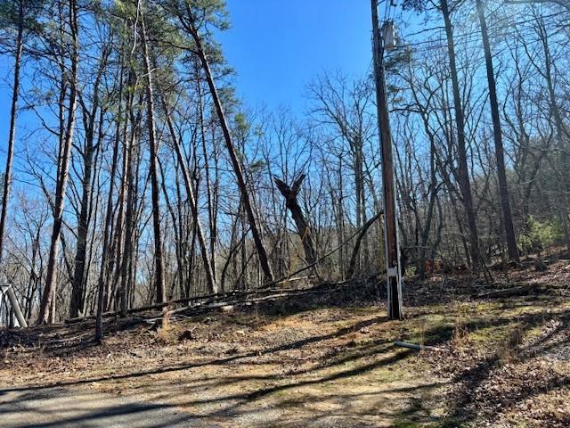 125 Gum Wood Court Waleska GA 30183