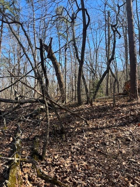 125 Gum Wood Court Waleska GA 30183
