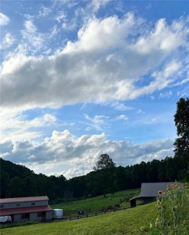 137 Blue Spruce Drive Blairsville GA 30512