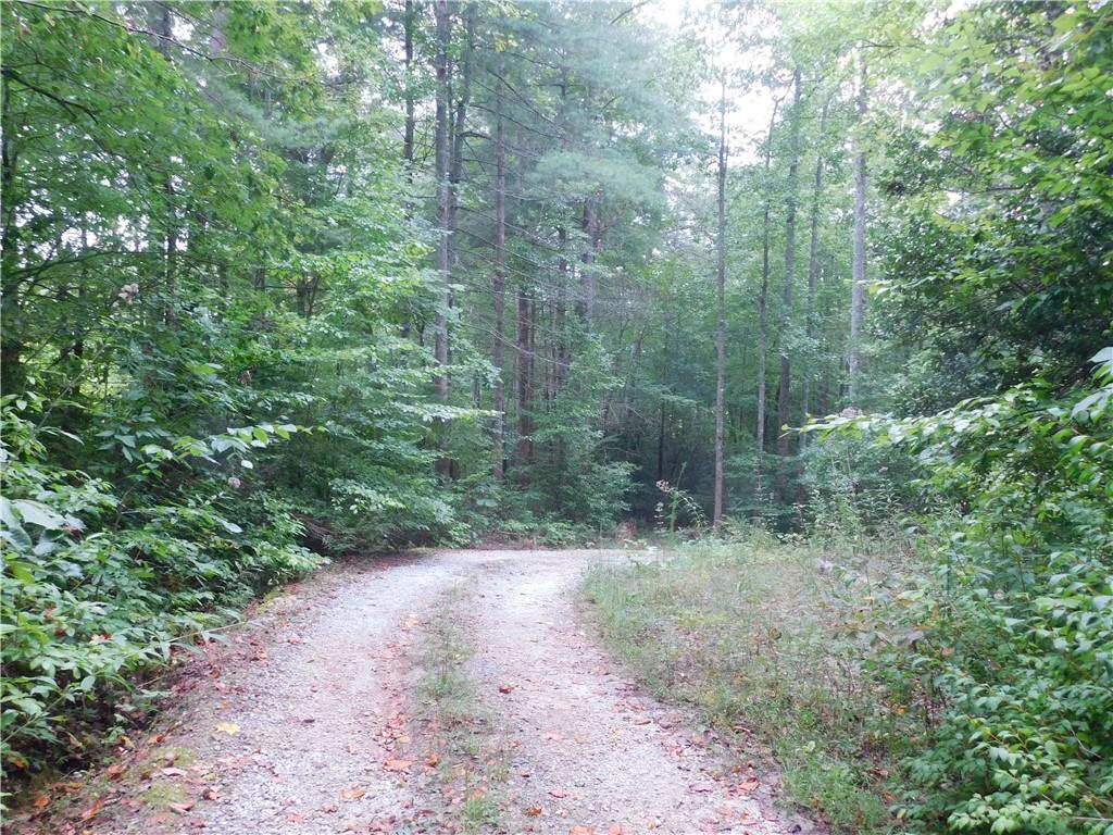 380 David Drive Tiger GA 30576