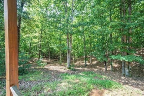 72 Gibbs Trail Mineral Bluff GA 30559