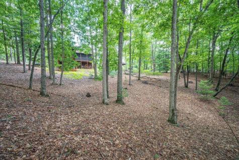 72 Gibbs Trail Mineral Bluff GA 30559